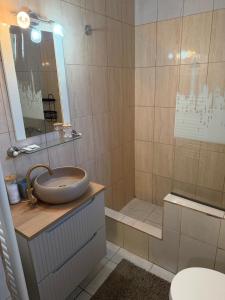 a bathroom with a sink and a shower at Casa Aurelia in Sibiu +55 photos