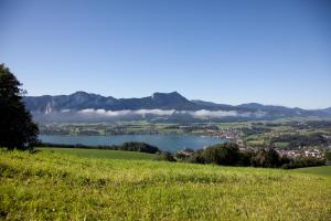 Gallery image of Panoramahof Manzberg in Mondsee +71 photos