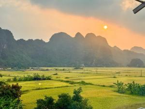 a view of a field with mountains in the background at Hidden Green Hotel Tam Coc in Vũ Lâm