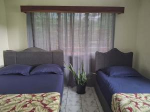 a bedroom with two beds and a window at Yaubula Bed and Breakfast Homestay in Nadi