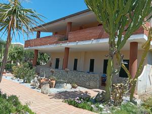 a house with a palm tree in front of it at agriturismo heaven in Capo Vaticano