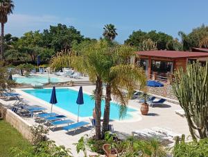 a pool at a resort with chairs and umbrellas at agriturismo heaven in Capo Vaticano