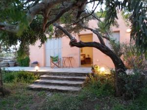 a house with a tree and stairs in front of it at Blue Agave in Agios Sostis