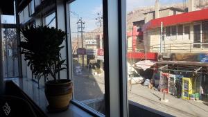 a potted plant sitting on a window sill at modern sity hotel in Erbil