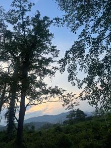 a view of the mountains from between two trees at The Mirik Address in Mirik