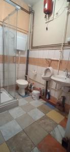 a bathroom with a toilet and a sink and a shower at My Way in Vladičin Han