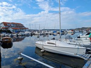 a group of boats docked in a marina at Vandrarhem Varvet in Ellös