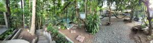 a garden with a bunch of plants and trees at Sotera and Paz Forestville in Silang