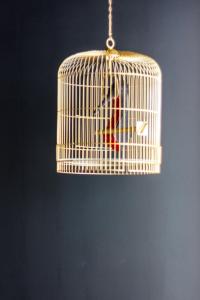 a bird in a cage hanging from a ceiling at RM The Experience - Small Portuguese Hotels in Setúbal