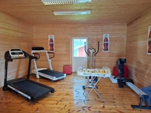 ein Fitnessstudio mit Laufbändern und Geräten in einem Raum in der Unterkunft Arctic Ranch in Överkalix