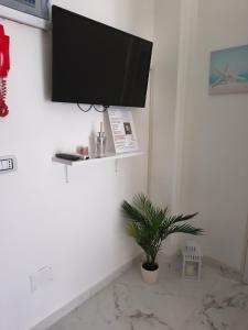 a flat screen tv hanging on a wall with a plant at Il sorriso romagnolo in Misano Adriatico