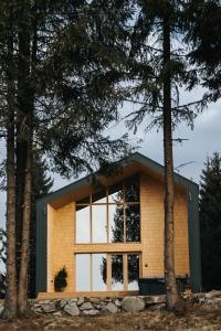 a house in the woods with large windows at Lordis Cabin Tihuța in Piatra Fantanele