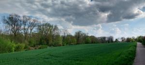 a large green field next to a road at Heimathafen Heilbronn in Heilbronn