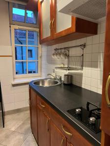 a kitchen with a sink and a counter top at Main Square Sławkowska Apartment in Krakow