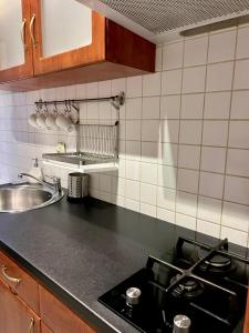 a kitchen with a stove and a sink at Main Square Sławkowska Apartment in Krakow +7 photos
