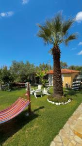 a hammock in a yard with a palm tree at Green House in Himare +9 photos