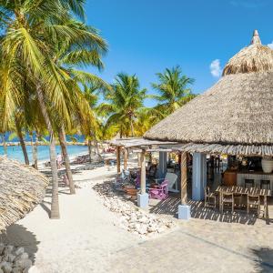 a beach with chairs and umbrellas and palm trees at Tropical Beach Villa with Ocean View in Blue Bay