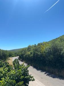 a winding road with trees and a blue sky at Camino apartmani in Dračevo