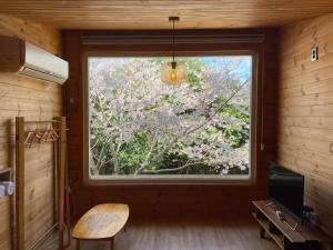 a window in a room with a tree outside at 서귀포 다붓 in Susal-li