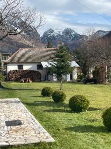 a house with a tree in a yard with mountains at Paja Guesthouse - Camping in Bogë