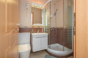 a bathroom with a shower and a toilet and a sink at Apartmani Aleks in Budva +220 photos