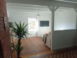 a living room with a couch and a plant at Logement cosy proche Cluny in Buffières