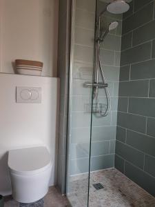 a bathroom with a shower with a toilet and a shower head at Logement cosy proche Cluny in Buffières +14 photos