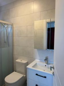a bathroom with a toilet and a sink and a mirror at Armeda Restoran ve Pansiyon in Datca