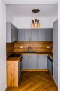 a kitchen with gray cabinets and a sink at Ayan Băile Felix Apartament in Baile Unu Mai