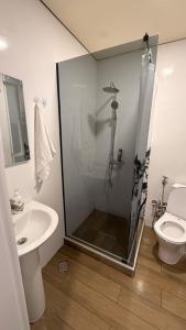 a bathroom with a shower and a sink and a toilet at Sun Estate Ureki in Ureki +17 photos