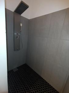 a bathroom with a shower with a black tiled floor at Ruhige Unterkunft in Oberlungitz