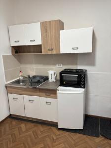 a small kitchen with a stove and a microwave at Novosadska Tvrdjava Apartments in Petrovaradin