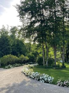 a row of white flowers in a garden at Ecrin de Vizaille in Toucy +4 photos