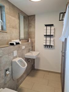 a bathroom with a sink and a toilet and a urinal at Campingpark Rammingen in Rammingen +12 photos
