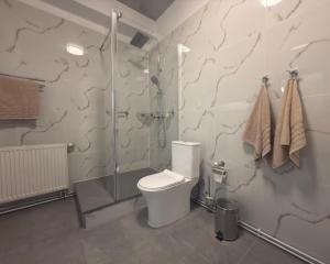 a bathroom with a toilet and a shower at Apartmán Kathryn in Dubá +7 photos