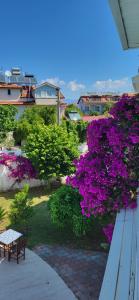 a bench sitting next to a bunch of purple flowers at mavikösk apartement in Dalyan