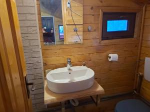 a bathroom with a sink and a mirror at Cabana trenulețelor in Lunca Mare +32 photos