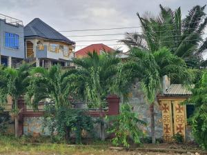 a group of palm trees in front of a building at Immanuel Victory hotel in Atebubu