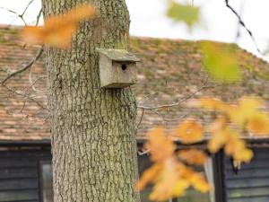 a bird house on the side of a tree at Quarter Cottage in Biddenden +17 photos