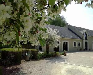 a house with a flowering tree in front of it at Gîtes de la Renaissance in Merlieux-et-Fouquerolles