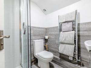 a bathroom with a toilet and a shower and a sink at Lake View-Uk34414 in Cheddar +6 photos
