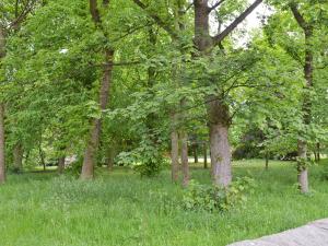 a group of trees in a park with green grass at Park View Cottage in Old Glossop
