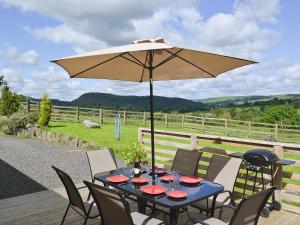 a table with an umbrella on a patio at Y Dderwen At Brynglas Farm in Llanfair Caereinion