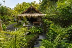 a small hut in the middle of a forest at The Payung House - Romantic Riverside Villa in Bebandem