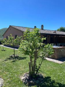 two trees in a yard in front of a house at Eclissi casa vacanza LUNA in Casalini
