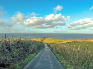 a road in the middle of a field with the ocean at Plover Apartment - Uk51129 in Carradale +5 photos