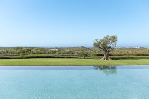 a pool of water with a tree in the background at Torralbenc, a Small Luxury Hotel of the World in Cala en Porter
