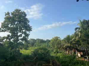 a view of a jungle with a house and trees at The Red Loft Mihinthale in Anuradhapura