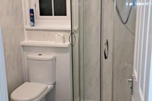 a small bathroom with a toilet and a shower at Beach 100m - Sea View - Log Burner - Dogs Welcome in Bridlington