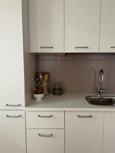 a kitchen with white cabinets and a sink at Al Monte Zelo in Agordo